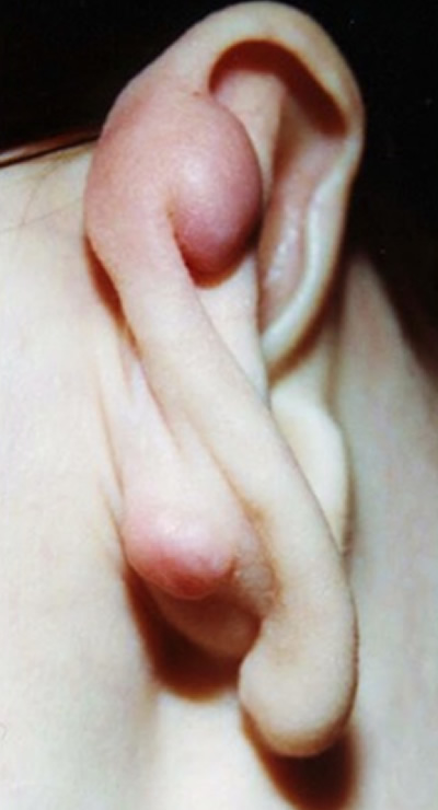 ��������� ����� 3 - ��