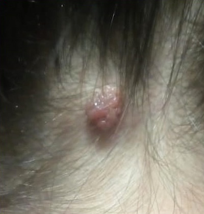 ��������� 3 - ��