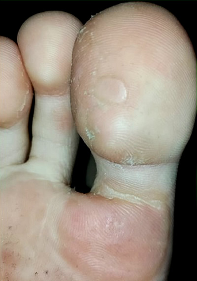 ��������� 6 - �����