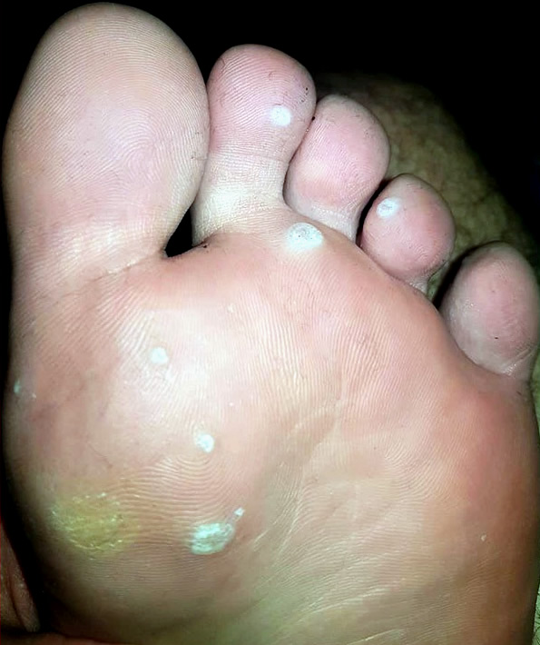��������� 8 - ��
